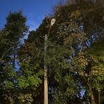 Streetlight at 12 New Terrace Rd