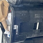 Rodent Issues at 12 Homer St