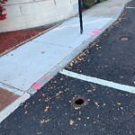 Sidewalk Repair at 1–99 Foster St Sidewalk Repair at 1–99 Foster St