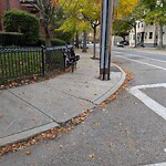 Trash/Recycling at 275 Cypress St