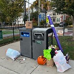 Trash/Recycling at 66 Stedman St