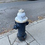 Graffiti at 56 Garrison Rd