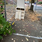 Sidewalk Obstruction at 30 Stetson St