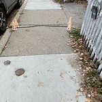 Sidewalk Obstruction at 165 High St