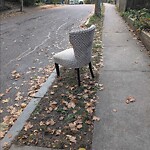 Trash/Recycling at 7 Oakland Rd