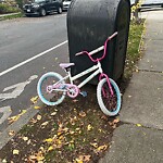 Abandoned Bike at 45 Naples Rd