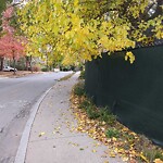 Sidewalk Obstruction at 63 Powell St