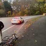 Traffic Signal at Chestnut St & Pond Ave