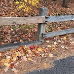 Sidewalk Repair at 216–268 Newton St