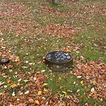 Graffiti at 16–46 Lee St