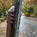 Graffiti at 156 Tappan St