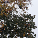 Other at 27 Francis St