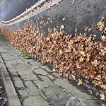 Sidewalk Obstruction at Pond Ave