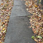 Sidewalk Repair at 61 Clark Rd