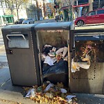 Trash/Recycling at 310 Harvard St