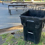 Rodent Issues at 42.33 N 71.13 W