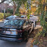 Parking Issues at 260 Winchester St