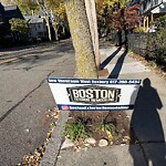 Sidewalk Obstruction at 224 Aspinwall Ave
