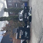 Rodent Issues at 1622 Beacon St, Brookline 02446