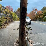 Graffiti at 232 Aspinwall Ave