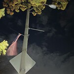 Streetlight at 333 Washington St