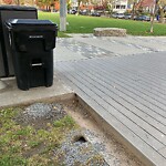 Rodent Issues at 42.33 N 71.13 W