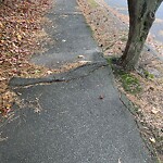Sidewalk Repair at 25–67 Hancock Rd