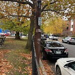 Graffiti at 77–79 Marion St