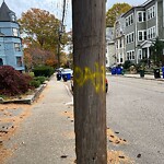 Graffiti at 123 Davis Ave