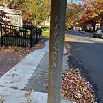 Graffiti at 204 Pleasant St