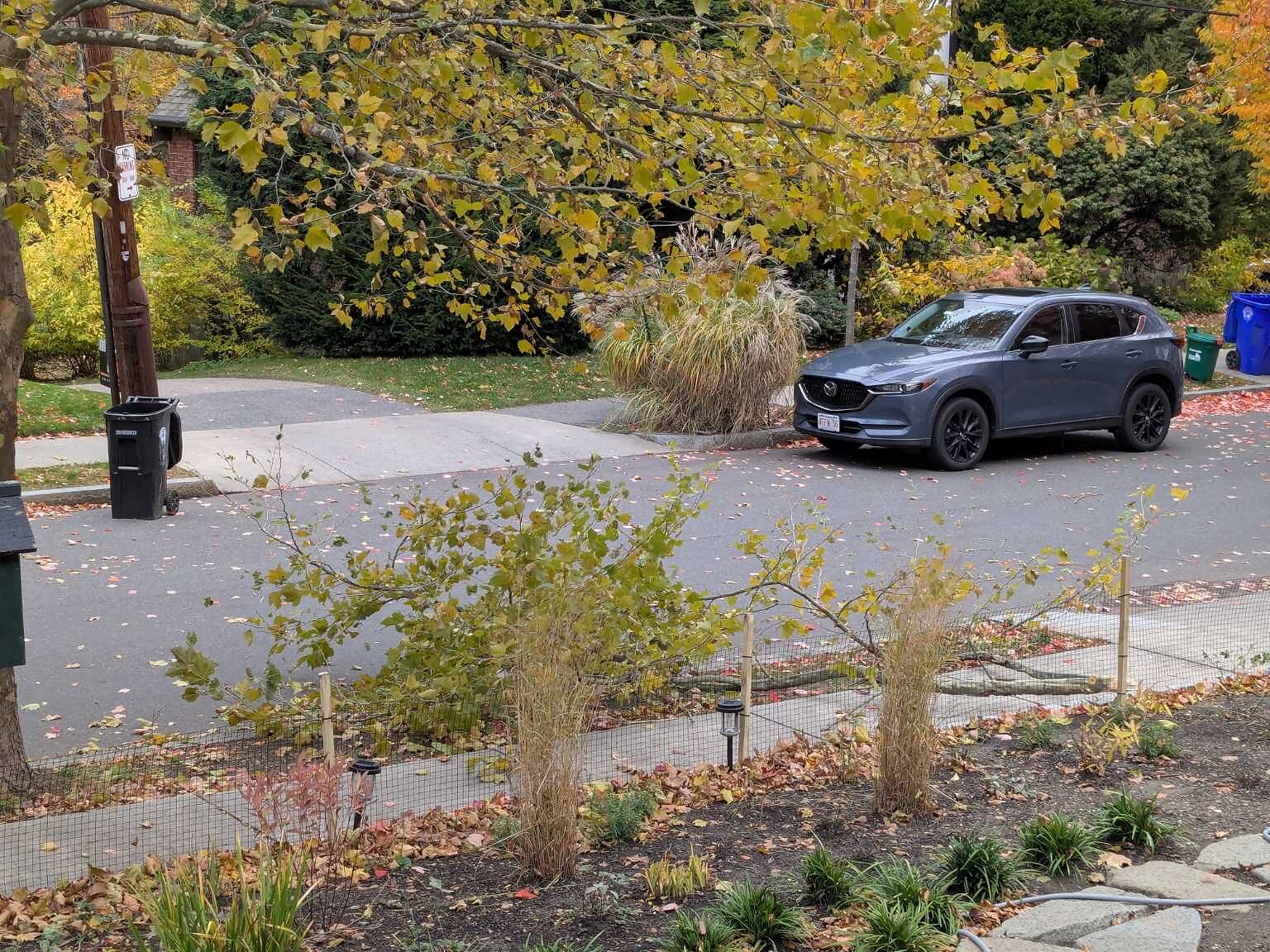 Photo_20251106_120357