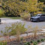 Public Trees at 144 Clark Rd