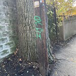 Graffiti at 21 Griggs Terr