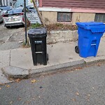 Trash/Recycling at 81 Franklin St