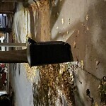 Trash/Recycling at Adams St