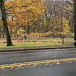 Sidewalk Obstruction at Pond Ave
