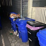 Trash/Recycling at 263 Walnut St