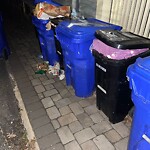 Rodent Issues at 261 Walnut St