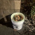 Trash/Recycling at 115 Park St