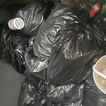 Trash/Recycling at Zaftigs Delicatessen, 335 Harvard St, Brookline 02446