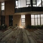 Rodent Issues at Driscoll School Playground, 721 Washington St, Brookline 02446