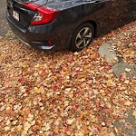 Parking Issues at 18–98 Stetson St