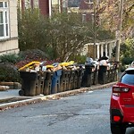 Rodent Issues at 17 Fairbanks St