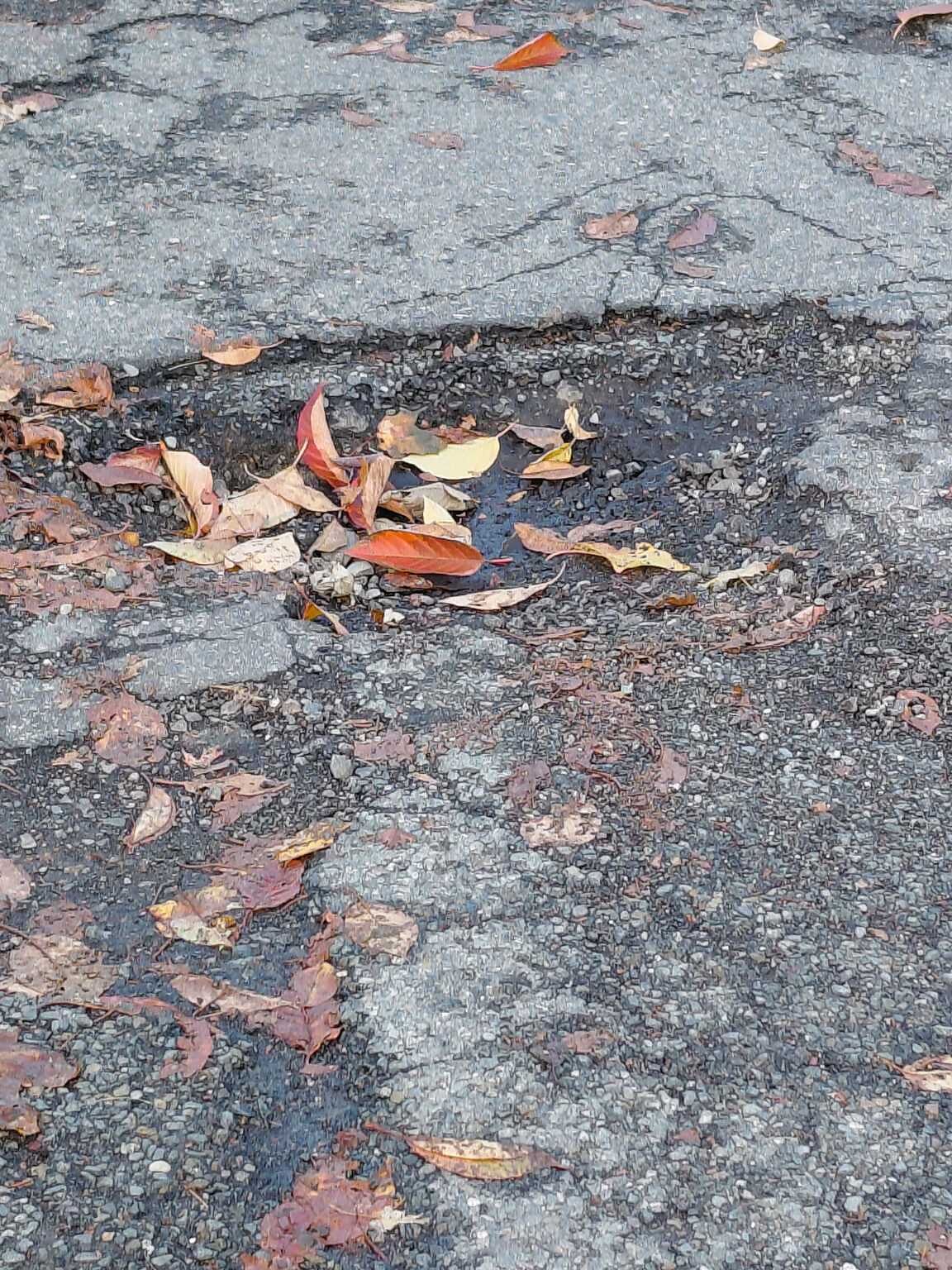 Photo_20251116_104212