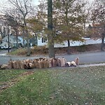 Trash/Recycling at 93 Payson Rd, Chestnut Hill