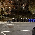 Rodent Issues at 33 Westbourne Terr