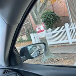 Public Trees at 42.34 N 71.12 W