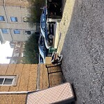 Trash/Recycling at Park Vale