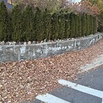 Safe Routes To School at 229 Grove St, Chestnut Hill