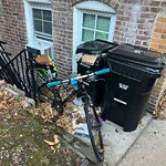 Trash/Recycling at 153 Fuller St